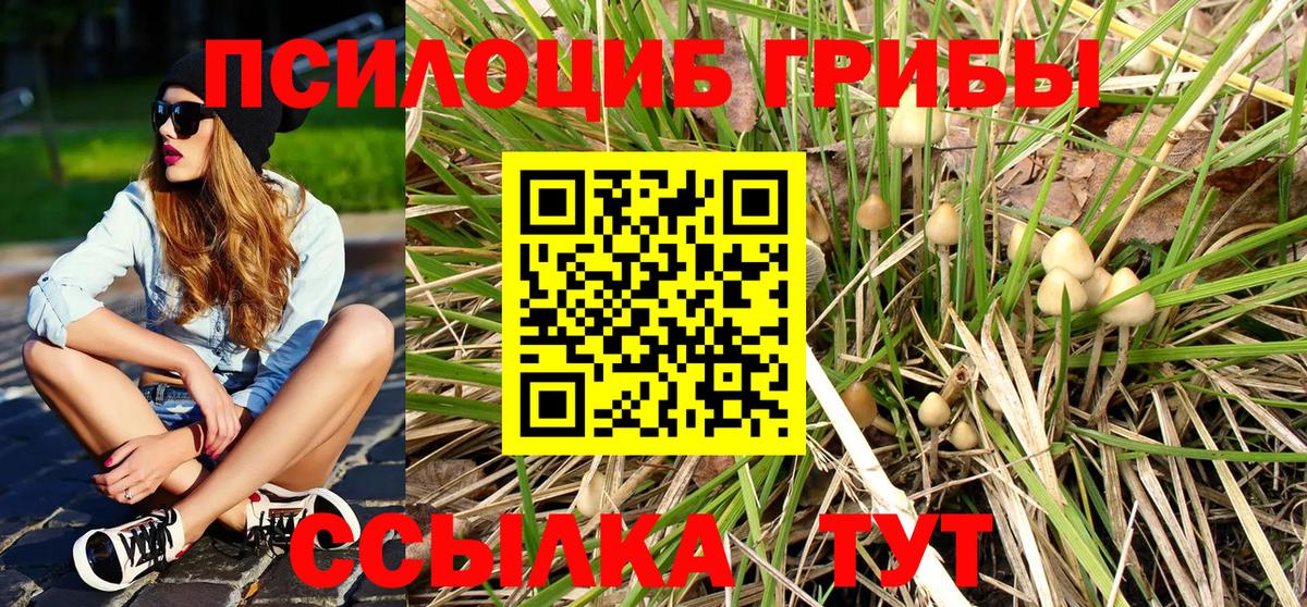 Псилоцибиновые грибы мухоморы Красноуфимск